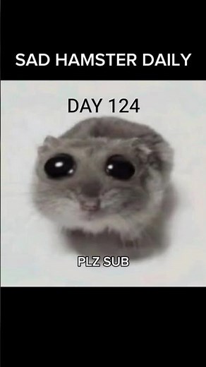 🐹 SAD HAMSTER DAILY - DAY 124 #hamster #memes #youtube #shorts #like #subscribe #fyp