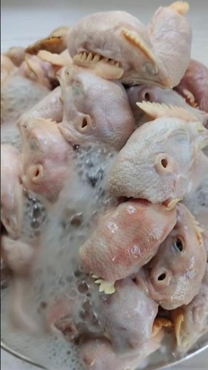 Boiling Chicken Head