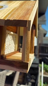 The very first Kind Bees of the year are hatching, and we are so excited! 🐝 Leafcutter bees are the perfect addition to any garden looking for a pollination boost 🌿🌸 These gentle, hardworking pollinators are easy for any BEE-ginner gardener to welcome into their space. Thanks to @au_naturelksl on Instagram for sharing this video of their first bees buzzing around their new home. We've been loving following you along on your Kind Bee journey! | Kind Bee Farms