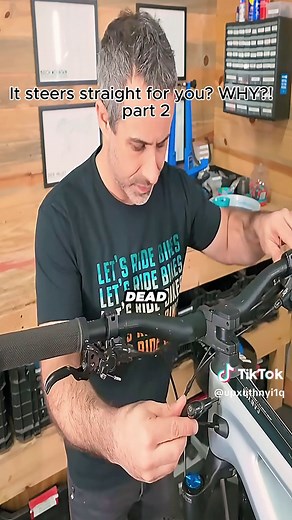 Build Your Own Mountain Bike: A DIY Guide