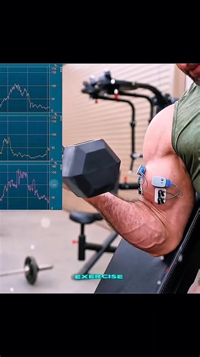 You’re Training Biceps WRONG??? #gym #GymTok #bodybuilding #fyp #biggerarms #bicepsworkout💪 #bicepexercises #foryoupage | Ryan Humiston