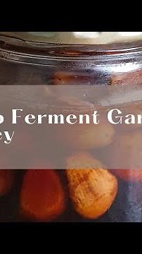Unbelievable Health Benefits of Fermented Garlic in Honey