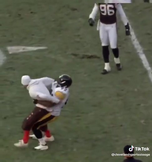 Today in 2005 James Harrison tackled a Browns fan 😂😂 | Steeler.Nation.Inc