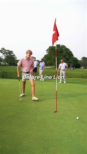 The Line Lion difference