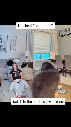 Riggie the Berner | Bernese Mountain Dog | Canine Enrichment on Instagram: "It’s only fitting that our first “argument” was about dinner time. I would eat all day every day if I could! 🐷 If you are interested in how I learned to “talk” with buttons (or shall we say “argue”), check out our links in bio! My mom wrote a full ebook explaining the exact step-by-step process we used. We also have a FREE Quick Start Guide if you are curious about button training and want to know what’s involved before