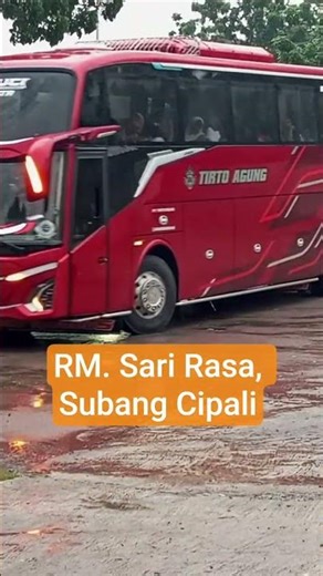 Bus Mania #busloverrs #viral #shorts #bus