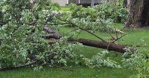 18,000 still without power after storms cause damage in Twin Cities