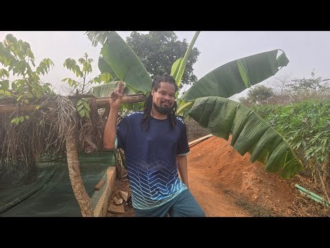 African Americans catfish farm in Nigeria 🇳🇬 2026 update.