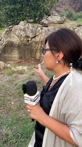 Scoperto antico palmento in Sicilia Rinvenute pietre ben levigate risalenti al periodo Greco Romano, a fine video l’emozione negli occhi #palmento #uva #sicilia #vino #ondatv #bellasicilia | Bella Sicilia