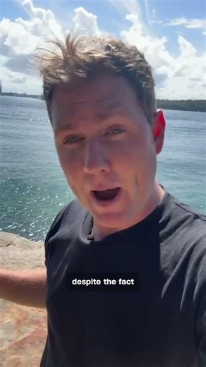 Four shark attacks in 48 hours in Australia