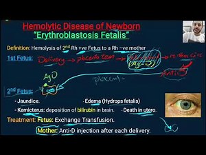 Blood Physiology 6. Blood groups & Haemostasis