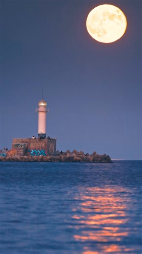 The euro is more than just a currency. It's a symbol of European integration. It makes it easier to travel, shop, do business, work and study throughout the euro area. From 2026, Bulgaria will also benefit from these advantages. 🇧🇬 Check out the video to learn more about its benefits ⬇️ 🔗 https://link.europa.eu/cWFJ64 #EuroinBulgaria #EvrotoBG | Council of the European Union