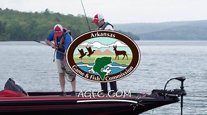 A fishing license is more than a permit. It’s your License to Fun. Get yours at agfc.com. | Arkansas Game and Fish Commission