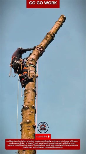 Advanced Arborist Equipment for Tree Cutting and Secure Climbing Operations in Forestry Work