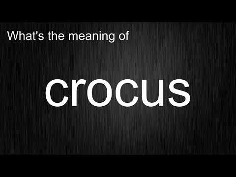 What's the meaning of "crocus", How to pronounce crocus?