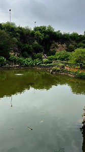 Nunca habia visto un jardín japonés como este. El diseño, las plantas y todo en general está adaptado al paisaje existente. #jardin | Jorge Scott