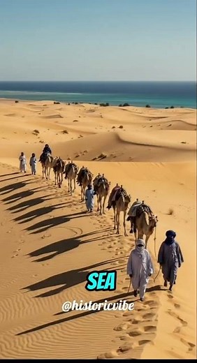 Beja Tribes – Nomadic Desert People of Eritrea 🇪🇷 | Ancient African Heritage #history