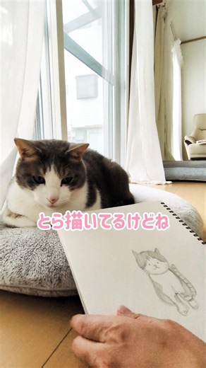ぽっちゃり担当とら🐯と夕方時間 #猫のいる暮らし #cat #猫イラスト