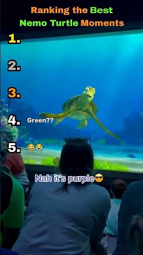 Ranking the Best Nemo Turtle Moments #movies #ranking #animals #disney