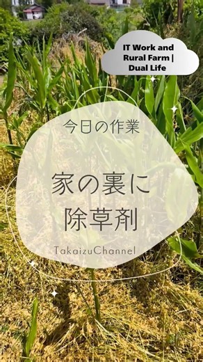 家の裏に撒いた除草剤の効きめ The effectiveness of the herbicide sprayed behind the house #japan #農業生活