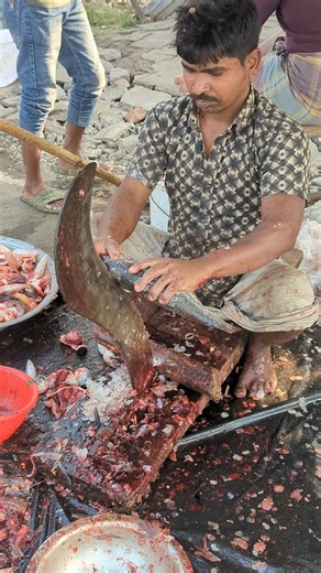 Small Fish Cutting #shortvideo #fishcutting #viral #youtube