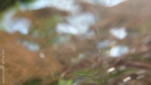 Underwater camera captures abstract footage of surreal rippling sky snd distorted trees flowing and splashing with the stream. Trippy dynamic footage