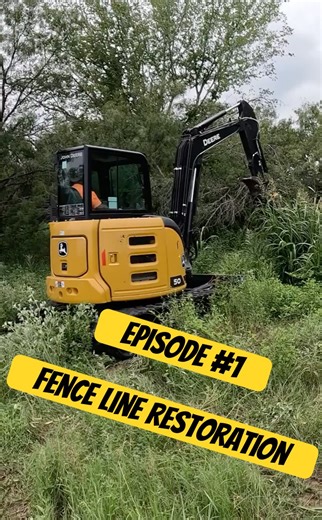Excavator Fence Line Cleanup | Farm Land Clearing Short #FarmLife#LandClearing#Homestead#