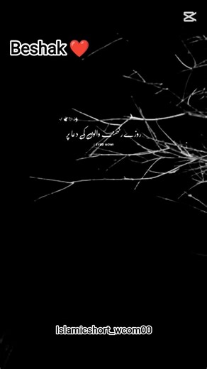 Islamic video Islamic short video Allah ke Naam ki video how you Islamic #islamicvideo