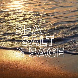 Spare jetzt 15 % auf die innovative und elegante Petite Fragrance Flame™ und Melts. Eine exklusive Technologie gepaart mit einem sich sofort verbreitenden Duft – geeignet für drinnen und draußen. Mit diesem Décor erlebst du eine beeindruckend elegante Flamme und einen intensiven Duft. Wähle aus acht Düften, vier saisonale und vier Bestseller-Düfte. Nur bis zum 15. März. 😊 https://bit.ly/3xYdjYj | PartyLite