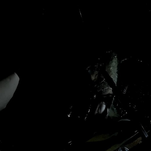 32K views · 392 reactions | Rare Shark Caught at Night from a Kayak!! | Nevs Fishing | Facebook