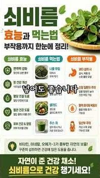 길가 잡초인 줄 알았는데? 쇠비름 효능과 먹는 법! #쇠비름 #쇠비름효능 #쇠비름먹는법 #쇠비름부작용 #건강정보 #건강상식 #혈관건강 #장건강 #오메가3 #약초 #나물 #50대건강