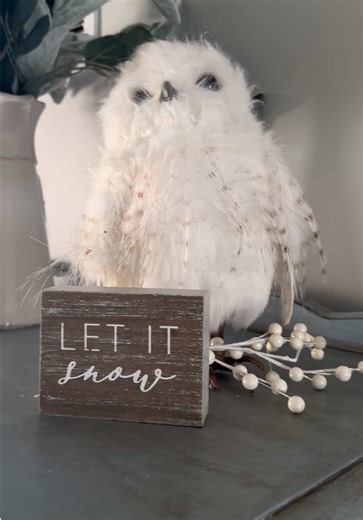 Decorating the house for Winter. All four seasons are celebrated in our home. #winter #fyp #decortions