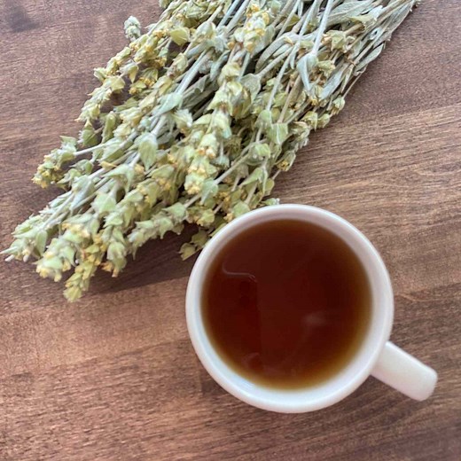 What Is Mountain Tea and Why Is It So Good For You?