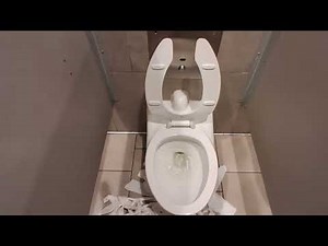 Atlantic Center mall Target toilets