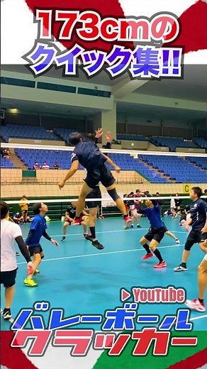 【最強の囮】173cmクラッカー兄貴のクイック4連発!! #shorts #ハイキュー #バレーボール