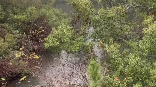 unbothered_filtered (@unbothered_filtered)’s videos with original sound - Elijah Williams