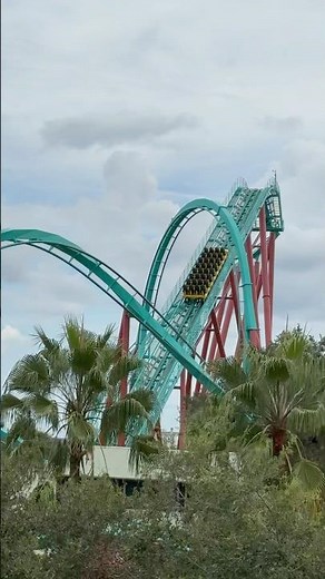Kumba Lives! | Busch Gardens | Kumba | Roller Coaster | Looping Coaster | Busch Gardens Tampa Bay