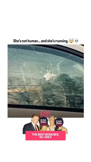 movies & reels | Follow @movie_vaults_ for more... Companion (2025) A tense sci-fi horror from director Drew Hancock and producer Zach Cregger... | Instagram