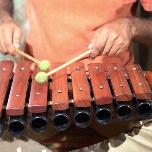 Enchanting Sounds of the 8-Keys Wooden Xylophone | Sarveda Ethnic