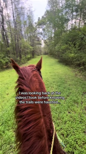 My Horse Knew the Trails Were Haunted: A Scary Story