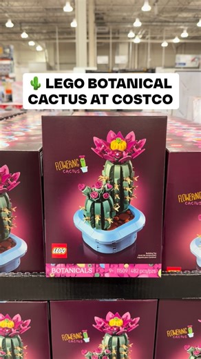 Costco Buys on Instagram: "🌵 This LEGO Botanical Cactus is NEW at Costco and it’s such a fun twist on decor 😍 Perfect for shelves, desks, or gifting to anyone who loves LEGO but wants something a little more grown up, this cute build looks great year round and never needs watering 🌸🧱 $26.49 #costcofinds #lego"
