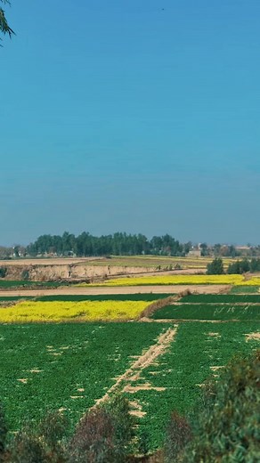 Exploring Swabi: A Hidden Gem of Culture