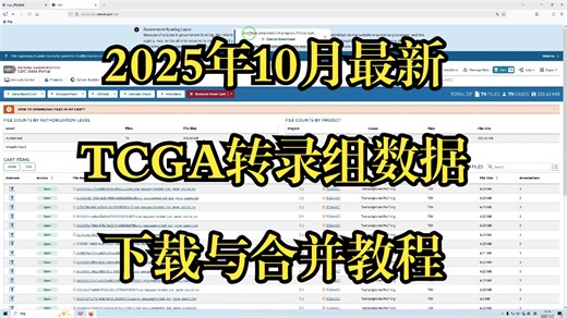 2025年10月最新TCGA转录组数据下载与合并教程