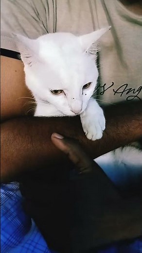 ബ്യൂട്ടീഷൻ ഒന്ന് ചെയ്യാമായിരുന്നു 😄😅