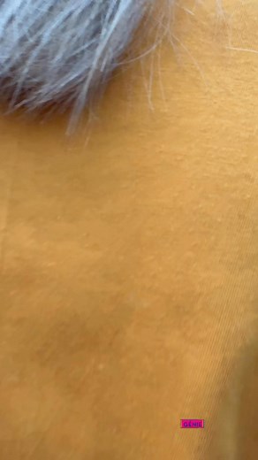 Jambu alas kulite ijo #fyp #fypシ゚viralシfypシ゚viralシalシ #fypreels #reelschallenge | Anis Supriyati