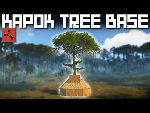 Five Perfect Vine Tree Base Footprints