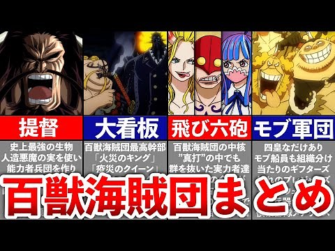 [ONE PIECE] Summary of the Beast Pirates
