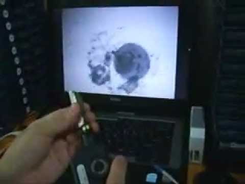 THE Fibers - HUX cleaner, how to clean SFP modul/ transceiver