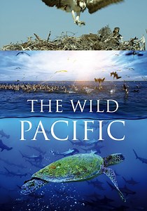 The Wild Pacific: The Beauty Of Life streaming