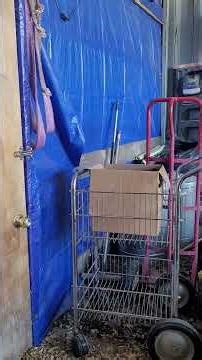 Somebody wants out of the barn